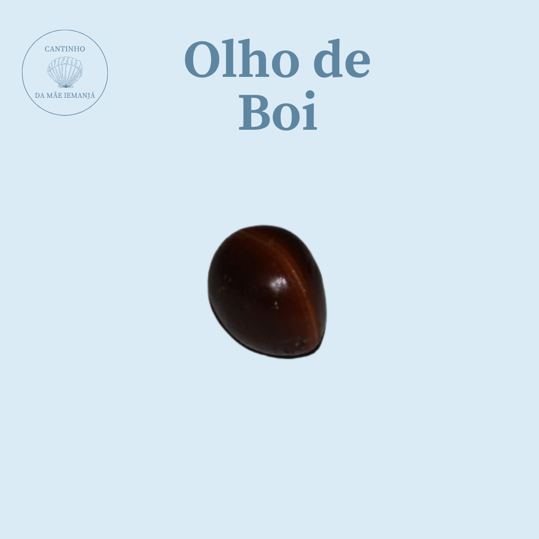 Olho de Boi